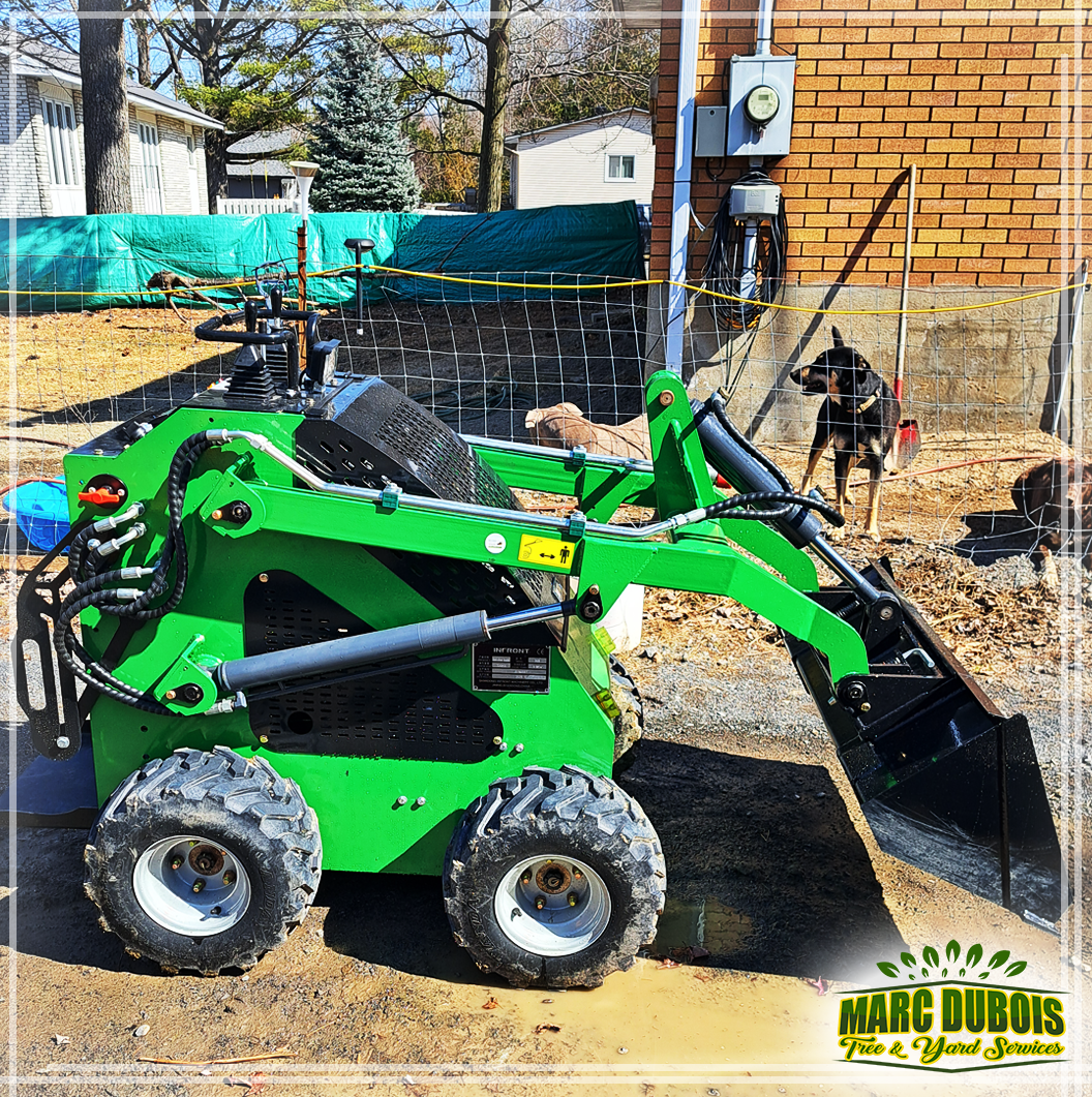 Mini Skid Steer